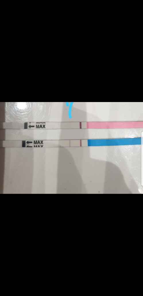 Chi non le aspetta per Maggio 2020 - 1