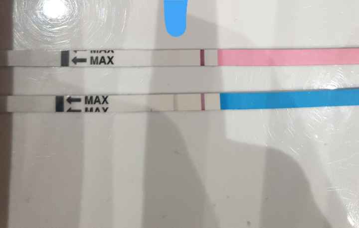 Chi non le aspetta per giugno 2020🥰🤞🏻 - 1