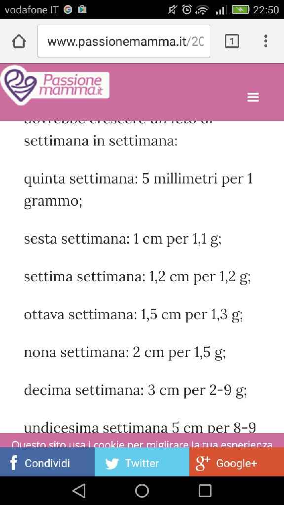 Crescita del feto... - 1