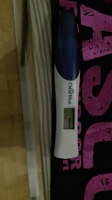 Aspiranti pancine di novembre ! - 1