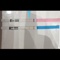 Chi non le aspetta per Maggio 2020 - 1