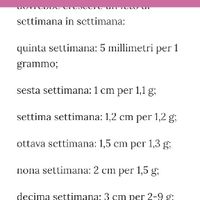 Crescita del feto... - 1