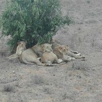 Viaggio di nozze.parte 1° - 1