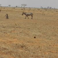 Viaggio di nozze.parte 1° - 2