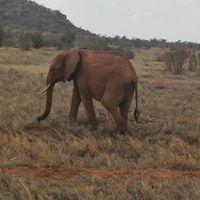 Viaggio di nozze.parte 1° - 4