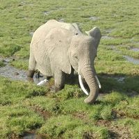 Viaggio di nozze.parte 1° - 5