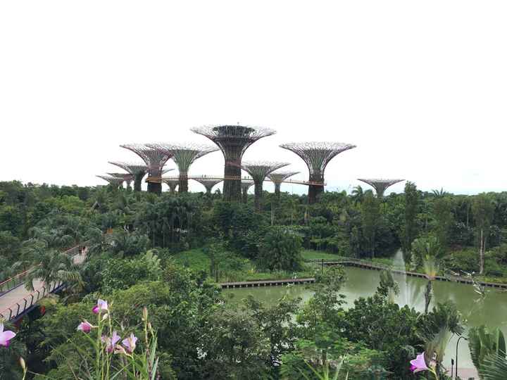 Chi ha visto la malesia e singapore? - 2