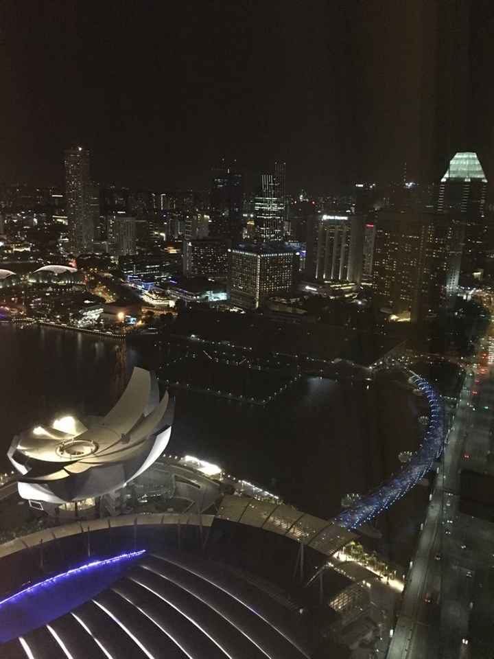 Chi ha visto la malesia e singapore? - 9