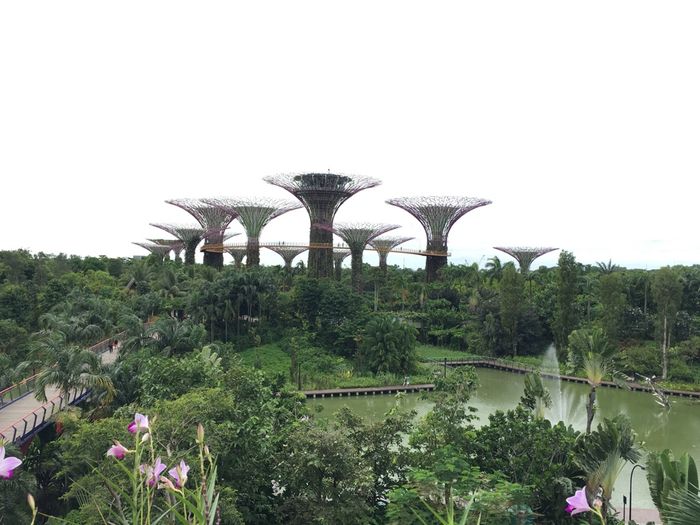 Chi ha visto la malesia e singapore? - 2