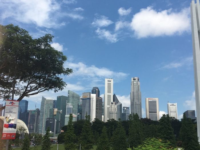 Chi ha visto la malesia e singapore? - 5