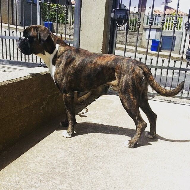 Prove generali anche per lui - 1