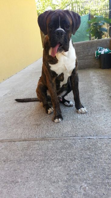 Prove generali anche per lui - 2