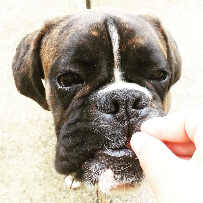 Prove generali anche per lui - 3