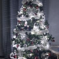 Avete mai fatto l'albero insieme? - 1