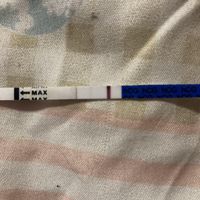 Chi non le aspetta per Gennaio 2022 🍀🍀🍀 - 1