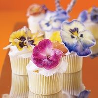 cup cake 