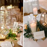 Indecisione sui fiori a tavola - 4