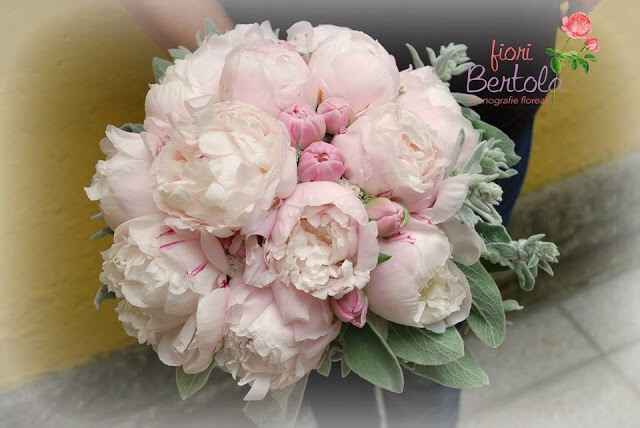 Quale bouquet mi consigliate? - 8