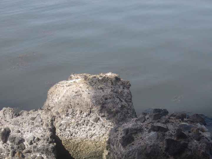 Servizio fotografico prematrimoniale bacoli - 23