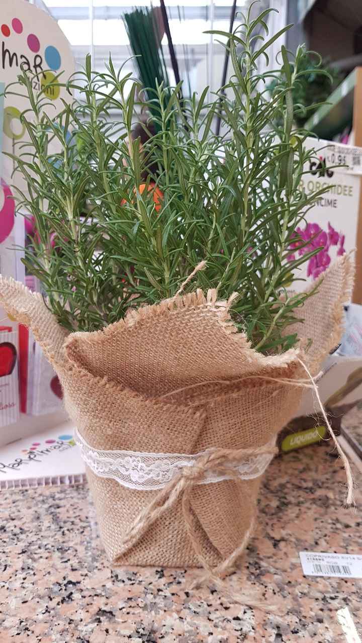 Vaso porta erbe aromatiche