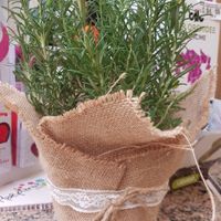 Vaso porta erbe aromatiche