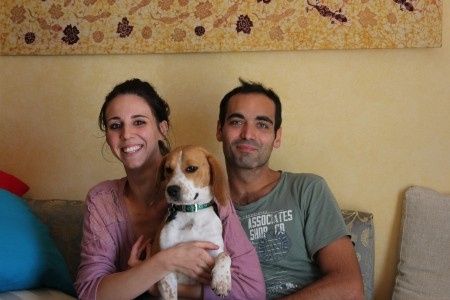 ..............................................