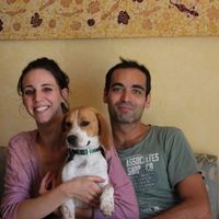 ..............................................