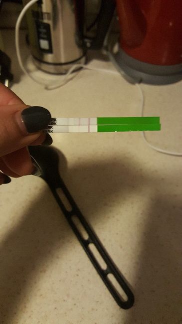 Test ovulazione come test gravidanza 2