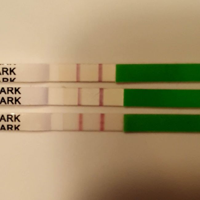 Chi non le aspetta per febbraio 2021 🤞🏼♥️🐣 - 2