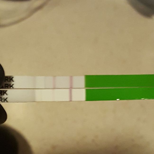 Chi non le aspetta per febbraio 2021 🤞🏼♥️🐣 - 1