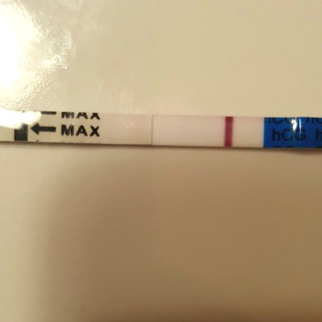 chi non le aspetta per aprile 2021😎❤️🤞❤️🍀 - 1