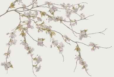 Parato floreale: opinioni? - 1