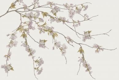 Parato floreale: opinioni? - 1