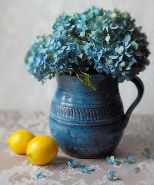 Ortensie che colore? - 1