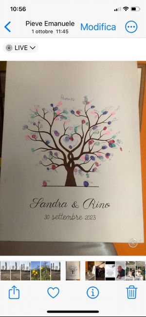 Bellissima giornata 8