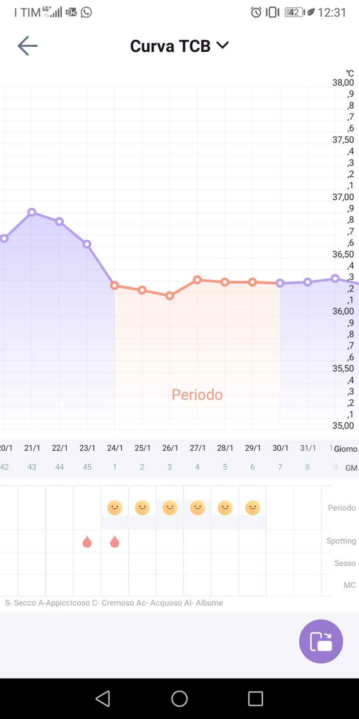 Temperatura basale per ricerca cicogna 🤞🏻 - 1