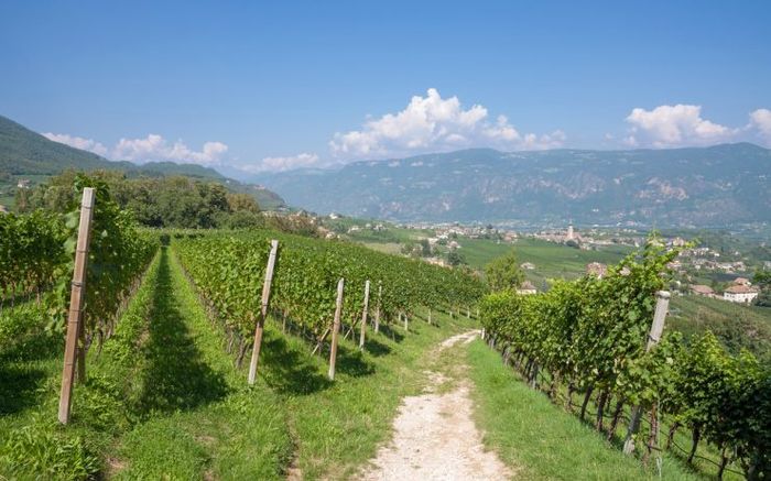 Itinerari singolari per i vostri viaggi di nozze! 1