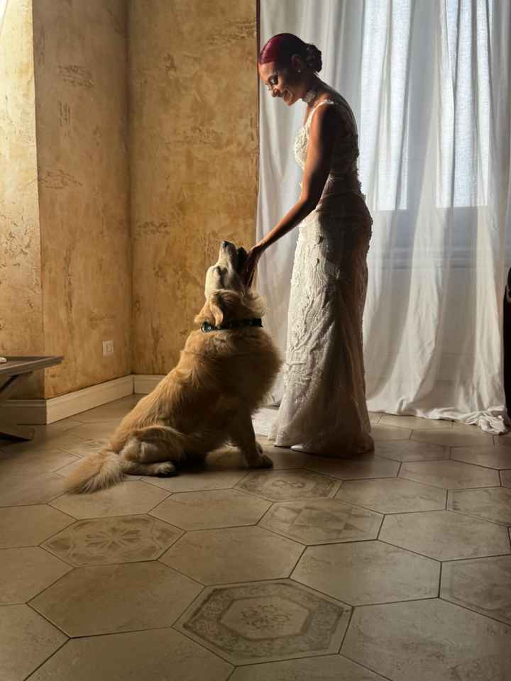 Utenti che si sposano il 28 Agosto 2025 - Roma - 1