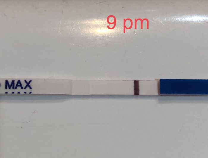 Chi non le aspetta per luglio 2020 🍀🐞🤞🌈🌻 - 1