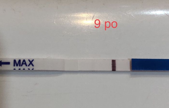 Chi non le aspetta per luglio 2020 🍀🐞🤞🌈🌻 - 1