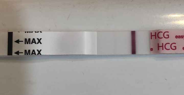 Test prima positivo e poi negativo e assenza di ciclo. Aiuto!!! - 4