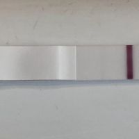 Test prima positivo e poi negativo e assenza di ciclo. Aiuto!!! - 4