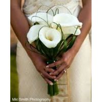 Bouquet di calle? - 1