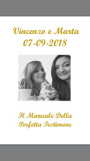 Manuale perfetta testimone!! - 1
