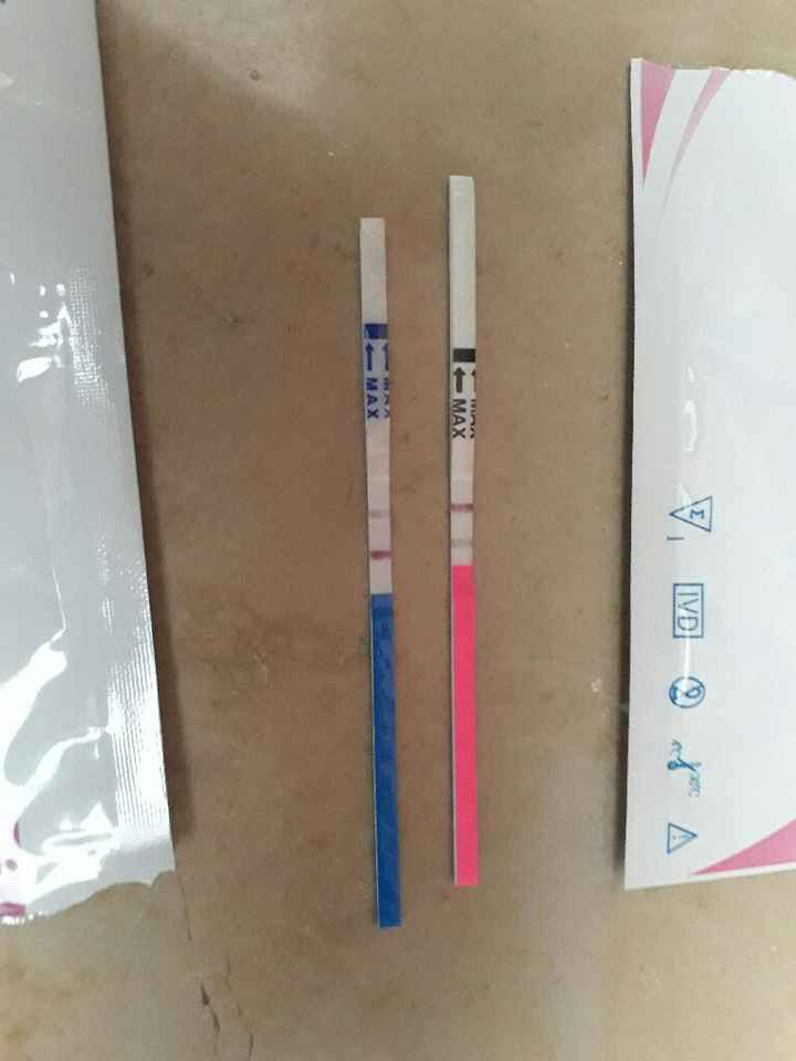 Urgente ragazze! - 1