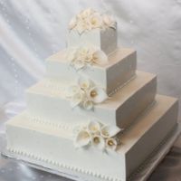 Ragazze come sarà la vostra torta? - 1