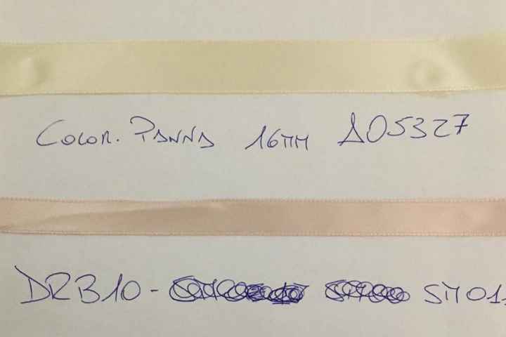 Che Pantone avete scelto,se uno o più di uno? - 1