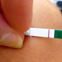 Test gravidanza canadesi - 1