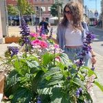 Lilia