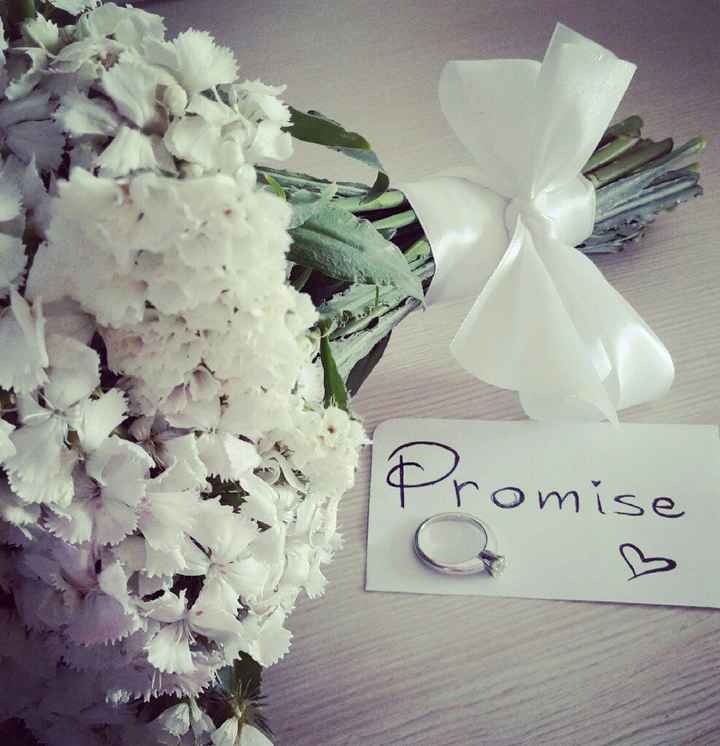 Anche la promessa è andata! - 4